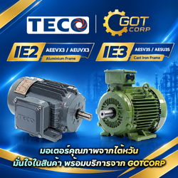 TECO MOTOR<br>